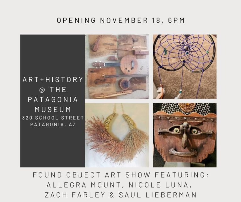 art+History PCAA and the Patagonia Museum